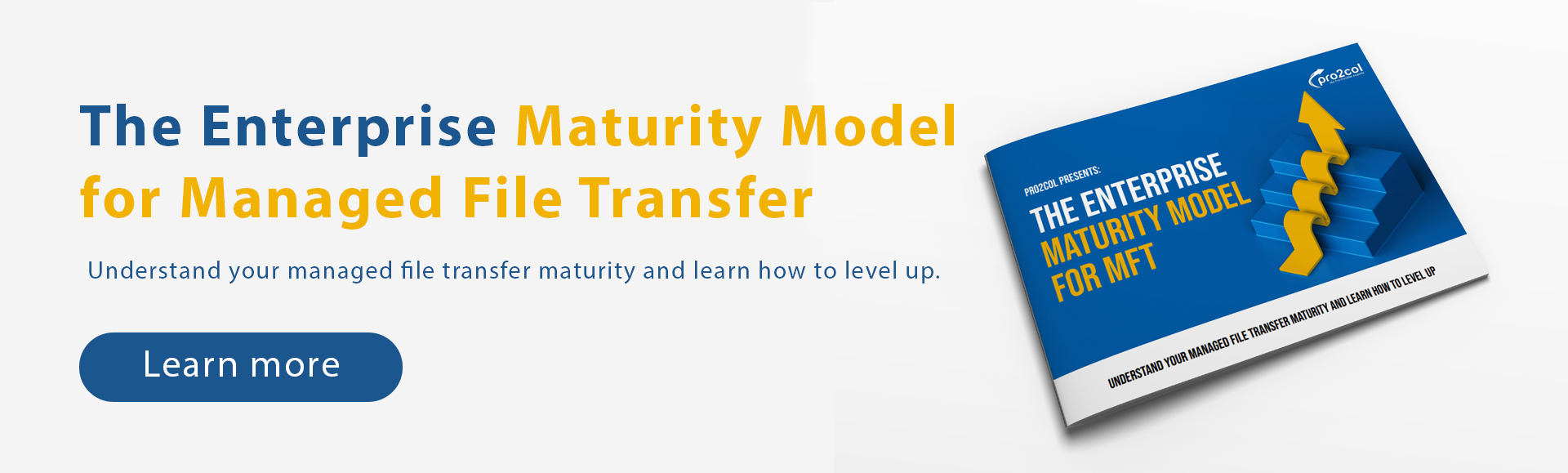 Download the enterprise maturity model for file transfer