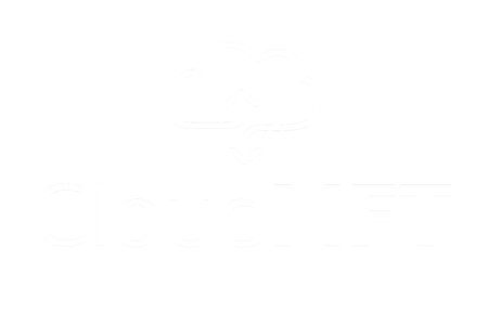 CloudMFT_Logo