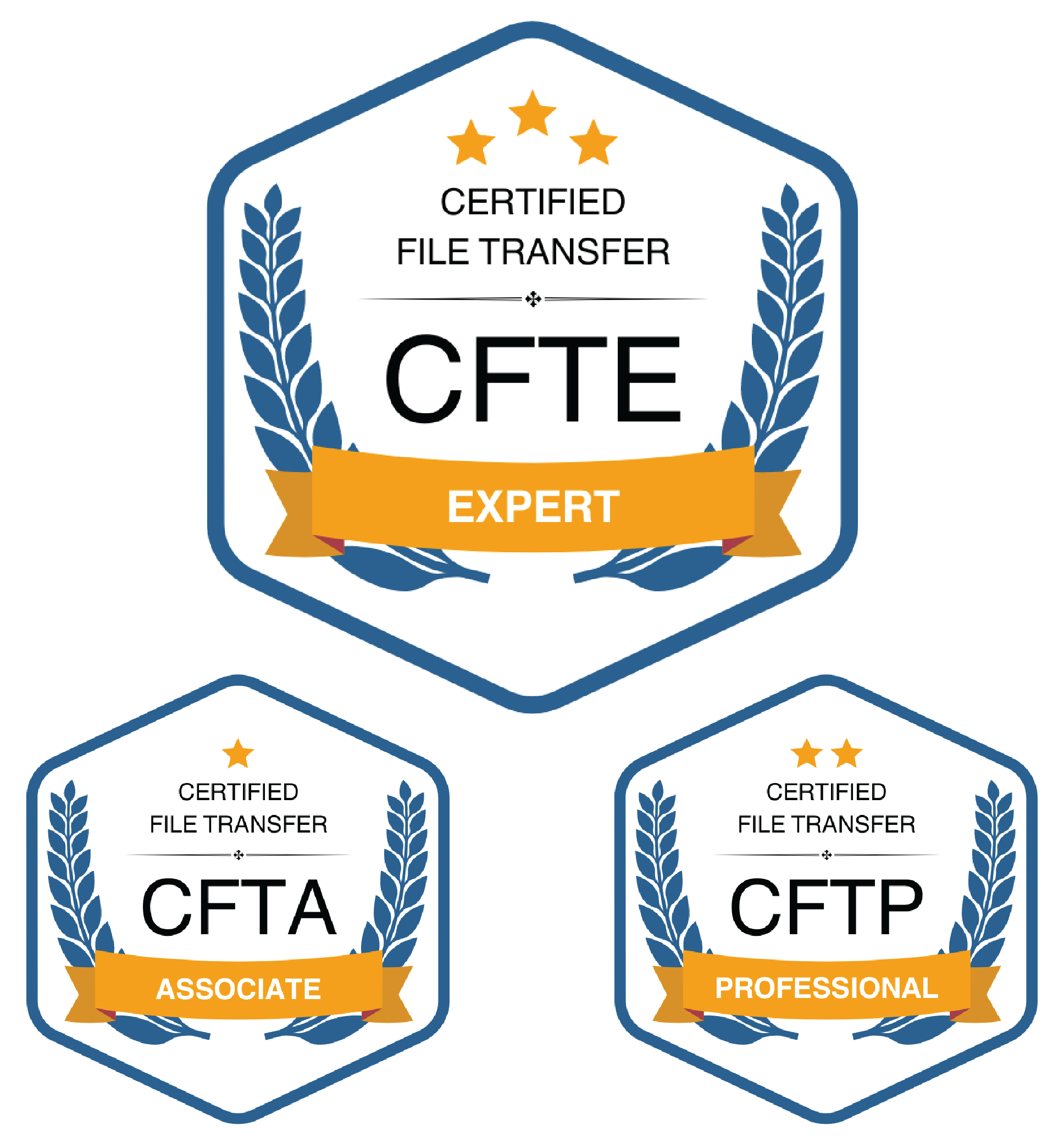 Certified File Transfer Professional