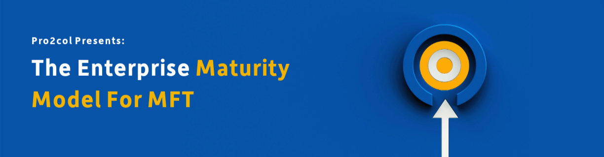 Enterprise Maturity Model for MFT