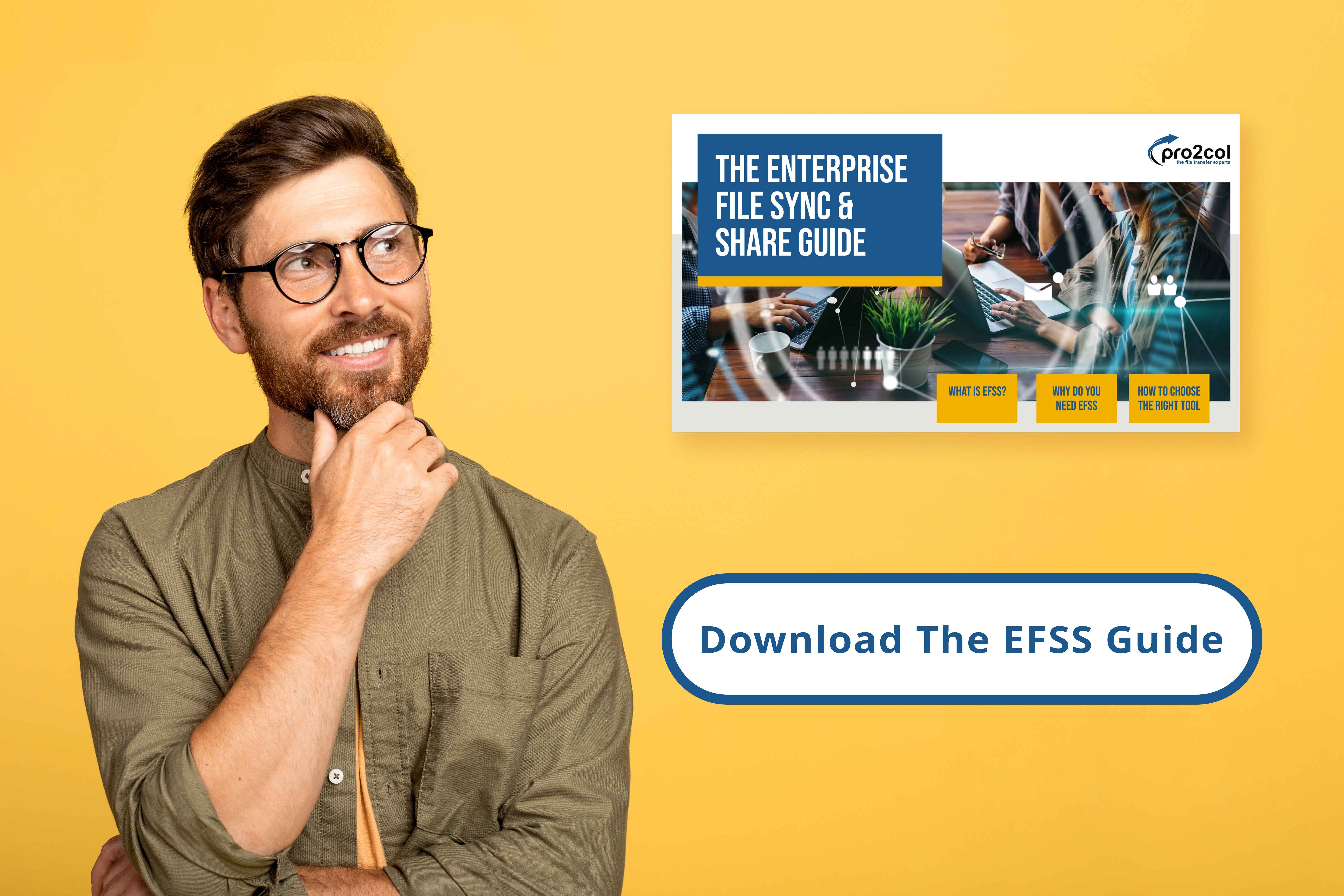 Download The EFSS Guide Banner