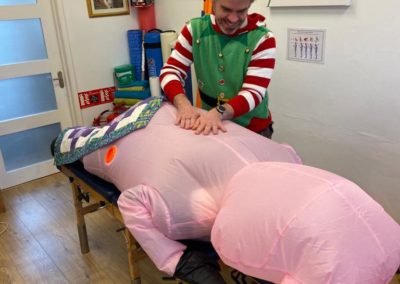 Pig Gets Deep Tissue Massage