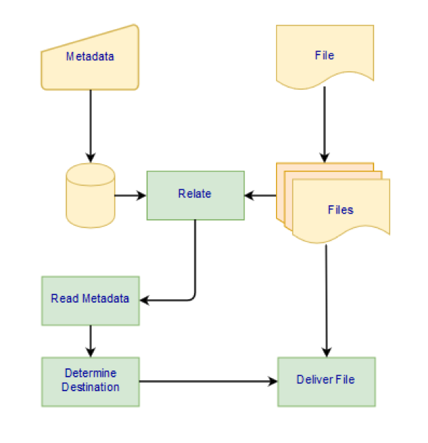 Capturing Meta Data - Webform Workflow