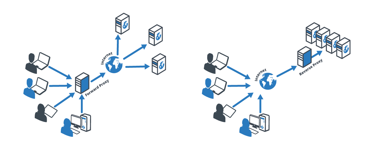 Forward And Reverse Proxy